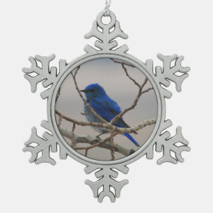 Mountain Bluebird Schneeflocken Zinn-Ornament