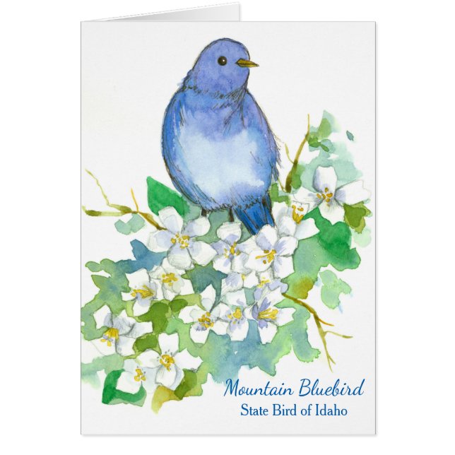 Mountain Bluebird Staat Bird of Idaho Blank (Vorne)
