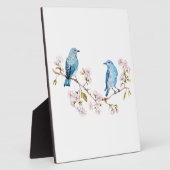 Mountain Bluebirds auf der Zweigstelle Sakura Fotoplatte (Seite)