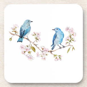 Mountain Bluebirds auf der Zweigstelle Sakura Getränkeuntersetzer