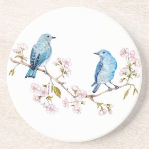 Mountain Bluebirds auf der Zweigstelle Sakura Getränkeuntersetzer