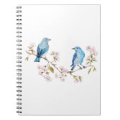 Mountain Bluebirds auf der Zweigstelle Sakura Notizblock (Vorderseite)