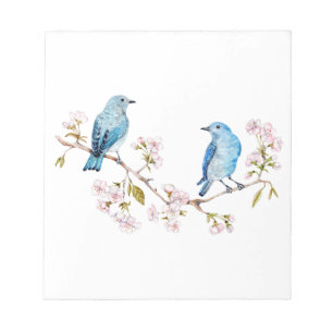 Mountain Bluebirds auf der Zweigstelle Sakura Notizblock