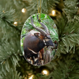Mountain Bongo Antelope Keramik Ornament