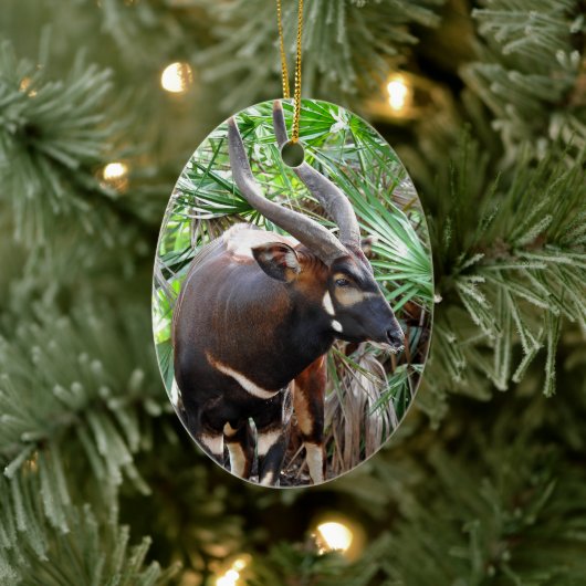Mountain Bongo Antelope Keramik Ornament (Baum)