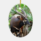 Mountain Bongo Antelope Keramik Ornament (Vorne)