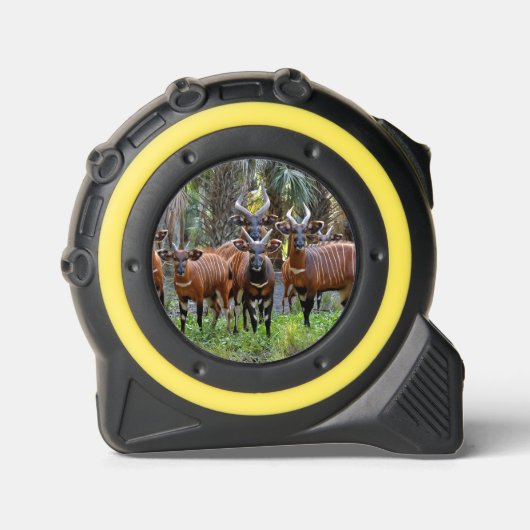 Mountain Bongo Antelope Maßband (Vorderseite)