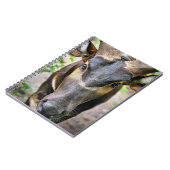 Mountain Bongo Antelope Notizblock (Linke Seite)