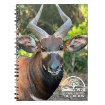 Mountain Bongo Notebook