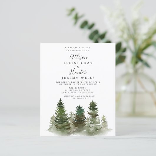 Mountain Budget Einladung Flyer (Stehend Vorderseite)