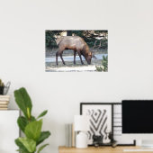 Mountain Bull Elk Foto Nature Wall Poster Mancave (Heimbüro)