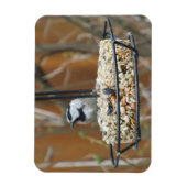 Mountain Chickadee am Feeder Magnet (Vertikal)