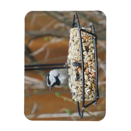 Mountain Chickadee am Feeder Magnet (Vertikal)