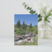Mountain Colorado Stream Postkarte (Stehend Vorderseite)