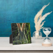 Mountain Cottontail Desktop Plaque Fotoplatte (InSitu)