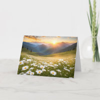 Mountain Daisy Field für den Geburtstag