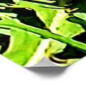 Mountain Dandelions Foto aus Ottawa Kanada Poster (Ecke)