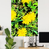 Mountain Dandelions Foto aus Ottawa Kanada Poster (Heimbüro)