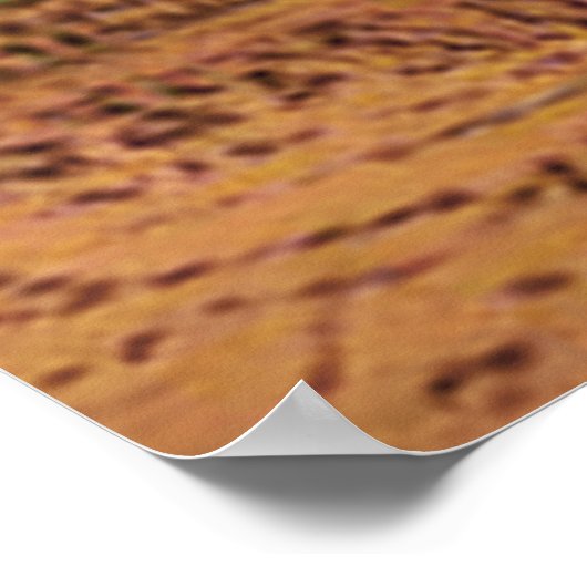 Mountain Fantasy Sunrise Poster (Ecke)