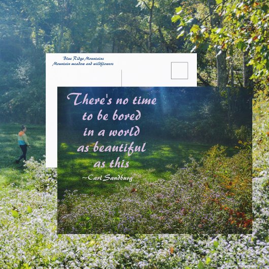 Mountain Field Blue Ridge Mountains Sandburg Zitat Postkarte