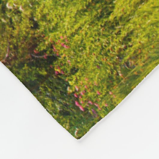 Mountain & Forest Landschaft Washington Staat Fleecedecke (Ecke)