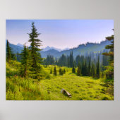 Mountain & Forest Landschaft Washington Staat Poster (Vorne)