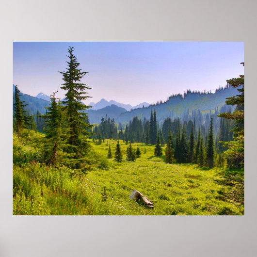Mountain & Forest Landschaft Washington Staat Poster (Vorne)