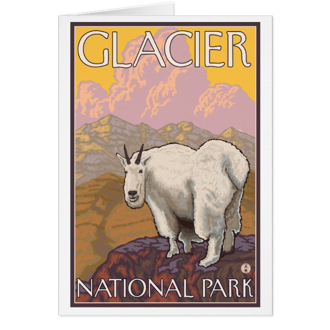 Mountain Goat - Glacier National Park, MT (Vorne)
