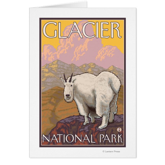 Mountain Goat - Glacier National Park, MT (Vorne)