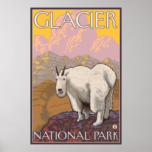 Mountain Goat - Glacier National Park, MT Poster (Vorne)