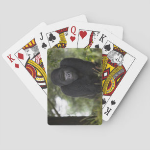 Mountain Gorilla and Silverback Spielkarten