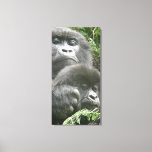 Mountain Gorilla & Baby 20 x 40 in. Leinwand