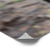 Mountain Gorilla/ Mutter & Baby Poster (Ecke)