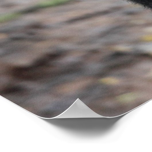 Mountain Gorilla/ Mutter & Baby Poster (Ecke)