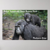 Mountain Gorilla/ Mutter & Baby Poster (Vorne)