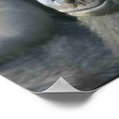 Mountain Gorilla Poster Print (Ecke)