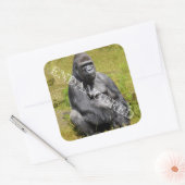 Mountain Gorilla Sticker (Umschlag)