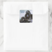 Mountain Gorillas African Wildlife Sticker (Tasche)