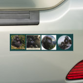 MOUNTAIN GORILLAS Wildlife Multi-Aufkleber Set #VI Autoaufkleber (Auf Auto)