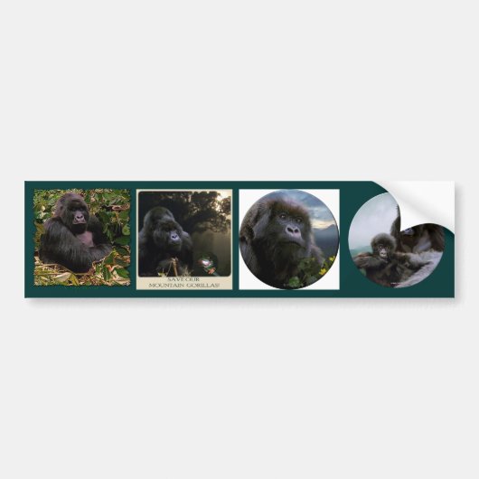 MOUNTAIN GORILLAS Wildlife Multi-Aufkleber Set #VI Autoaufkleber (Vorne)