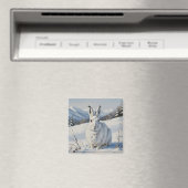 Mountain Hare in Schottland Travel Magnet (In Situ (Geschirrspüler))