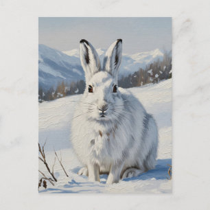 Mountain Hare in Schottland Travel Postkarte