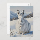 Mountain Hare in Schottland Travel Postkarte (Vorne/Hinten)