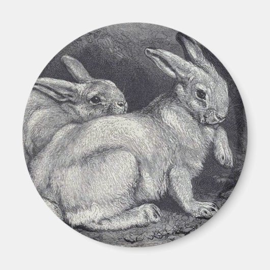 Mountain Hares Magnet (Vorne)