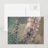 Mountain Holly Postcard Postkarte (Vorne/Hinten)
