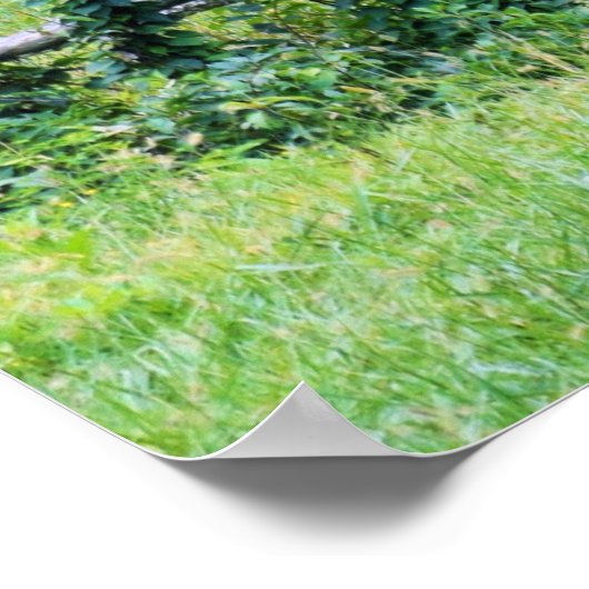 Mountain Horse Ranch Relaxin' Poster (Ecke)