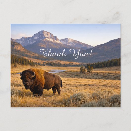 Mountain Landscape American Bison Thank You Postkarte (Vorderseite)