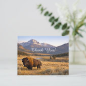 Mountain Landscape American Bison Thank You Postkarte (Stehend Vorderseite)