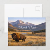 Mountain Landscape American Bison Thank You Postkarte (Vorne/Hinten)