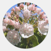 Mountain Laurel 46 ~ Aufkleber (Vorderseite)